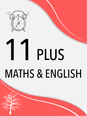 11 Plus English & Maths